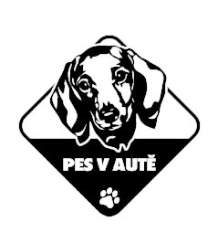 Pes v aute Jazvečík nálepka na auto