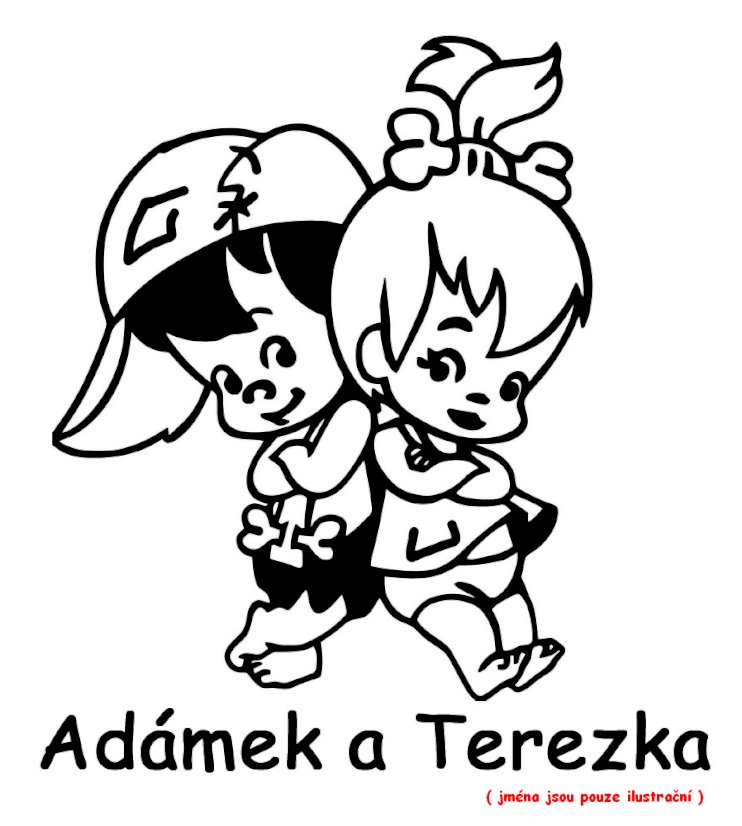 Deti v aute mená 1 nálepka na auto - Barva samolepky VYBERTE SI: Strieborná, Velikosť samolepky: Velikosť D