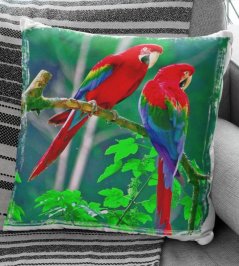 Polštář Papoušci 2