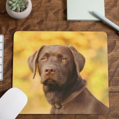 Podložka pod myš Labrador hnědý