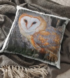 Polštář Sova 2