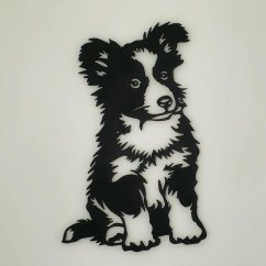 Border kolie štěně obraz