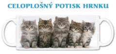 Hrnek koťata