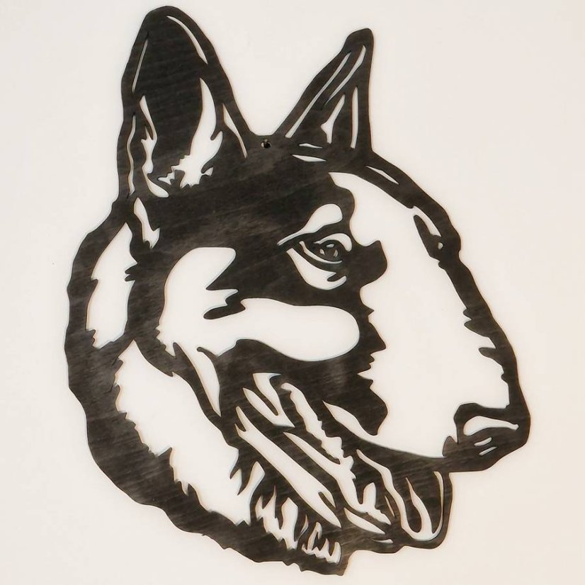 Bullterier obraz - Barevné provedení: Černý motiv