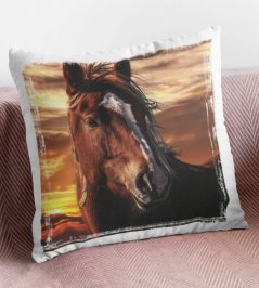Polštář Kůň 2
