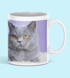 Hrnek kočka britská