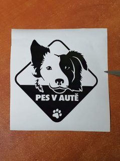 Pes v aute Border kólia nálepka na auto