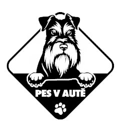 Pes v aute Bradáč samolepka na auto