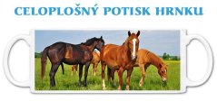 Hrnček Kone na pastve