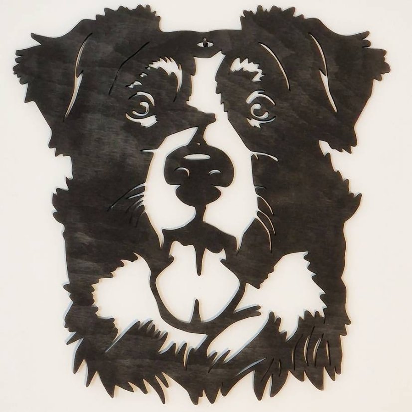 Border kólia obraz - Barevné provedení: Čierny motív