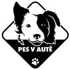 Pes v aute - Barva samolepky VYBERTE SI - Svetlo hnědá