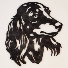 Jazvečík hlava 2 obraz