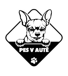 Pes v aute Čivava samolepka na auto