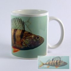 Ostriež hrnčekový