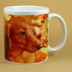 Hrnček jazvečík s dlhou stopkou