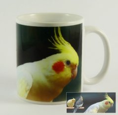 Hrnek korela